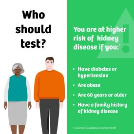 Siemens Healthcare Clinistix™ Kidney Health Test Kit, Urine Test Strips, Five Tests